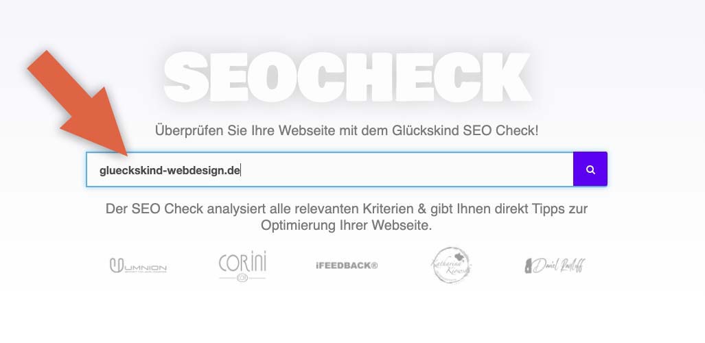 SEO Check domain eingabe
